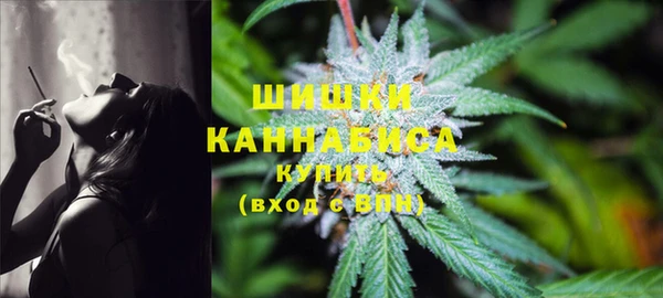 крисы Михайловск
