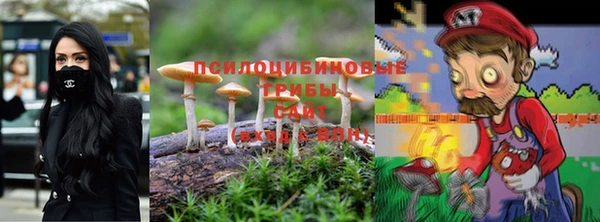 прущая мука Медногорск