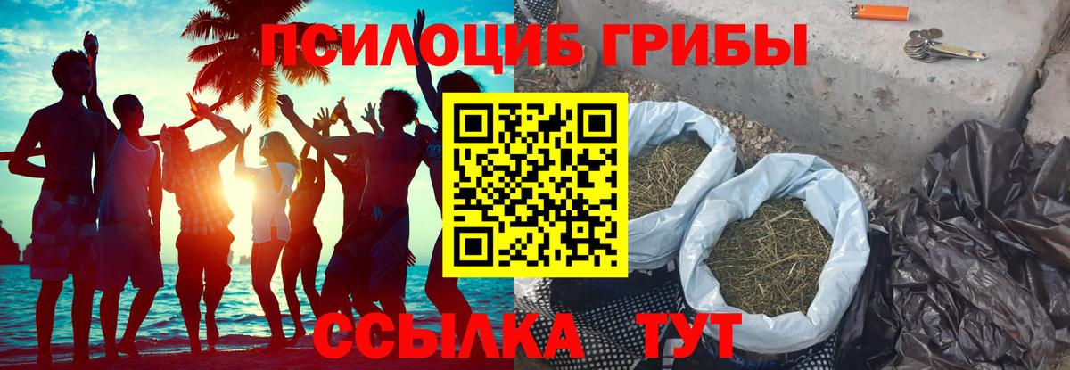 Приморско-Ахтарск  Галлюциногенные грибы мухоморы  Вход с VPN  Псилоцибиновые грибы MAGIC MUSHROOMS 